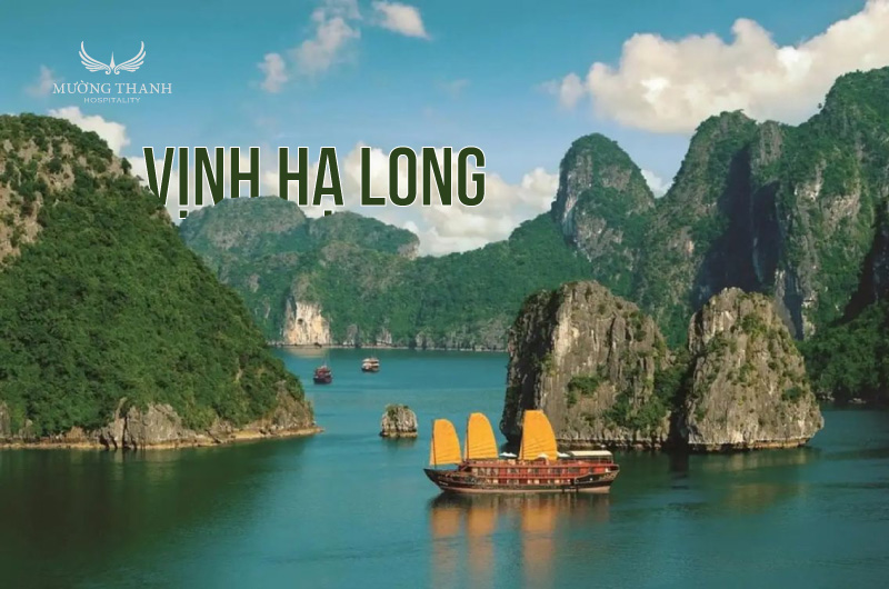 du-lich-vinh-ha-long